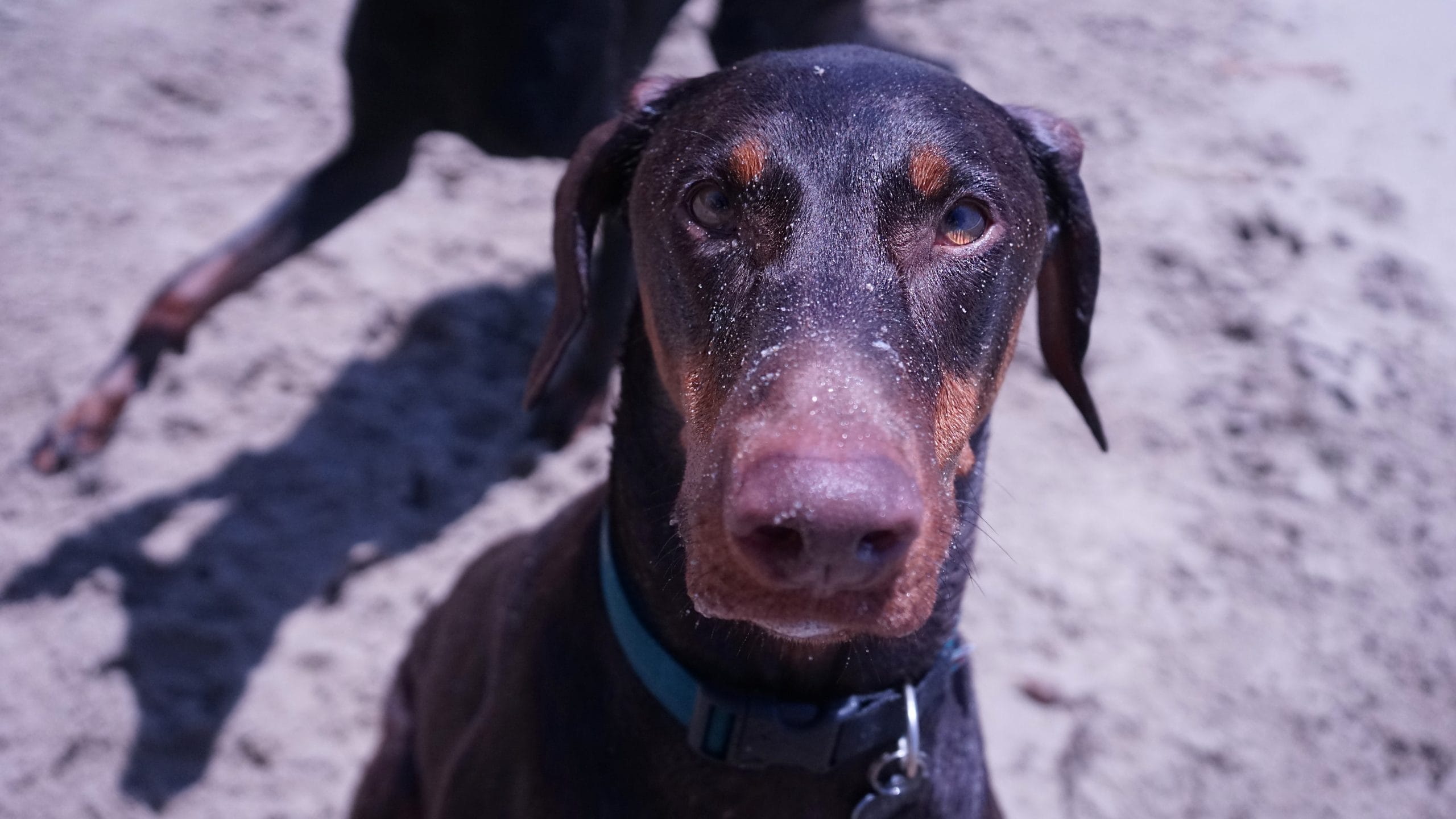 Beach Days Are The Best Days!