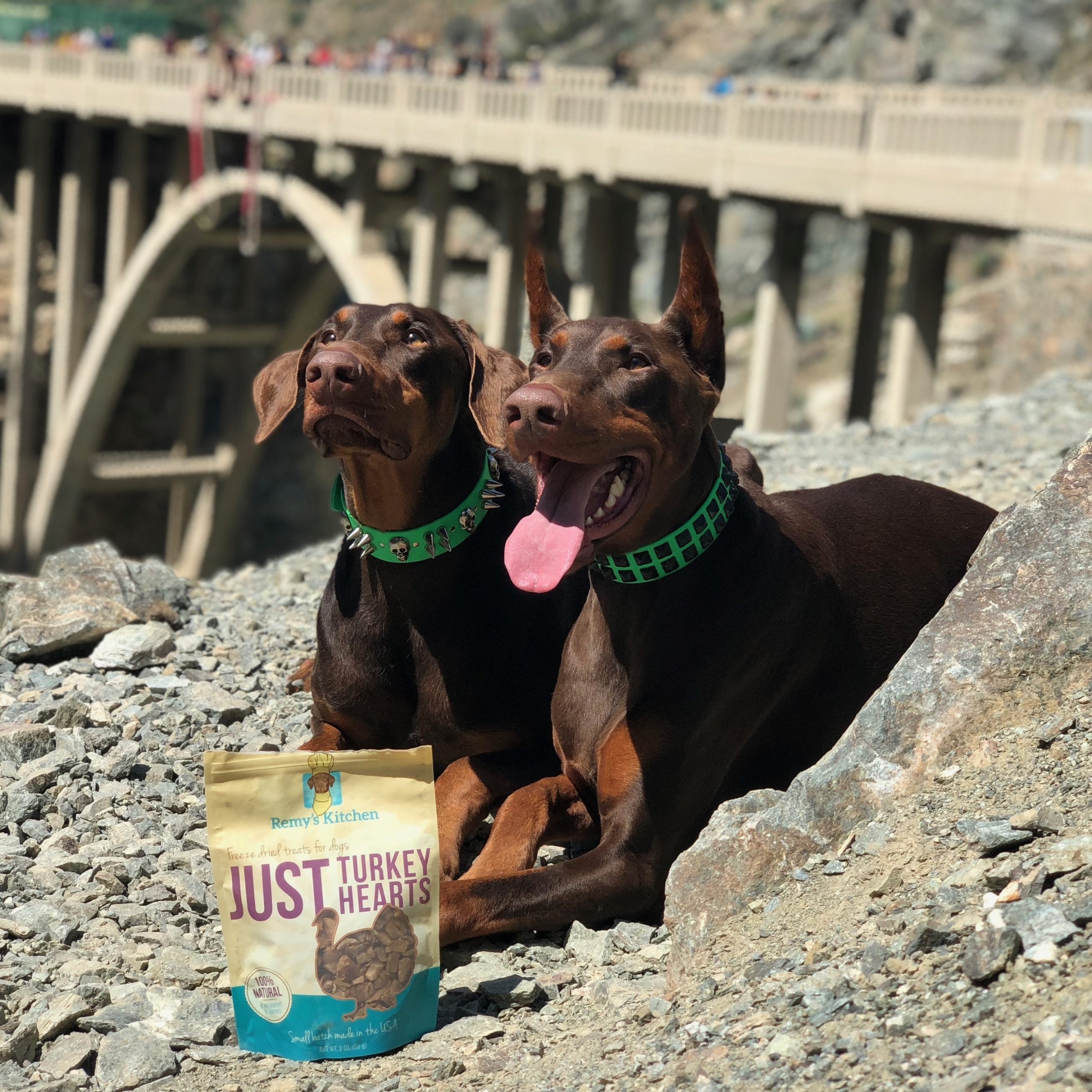 Ruff Terrain
