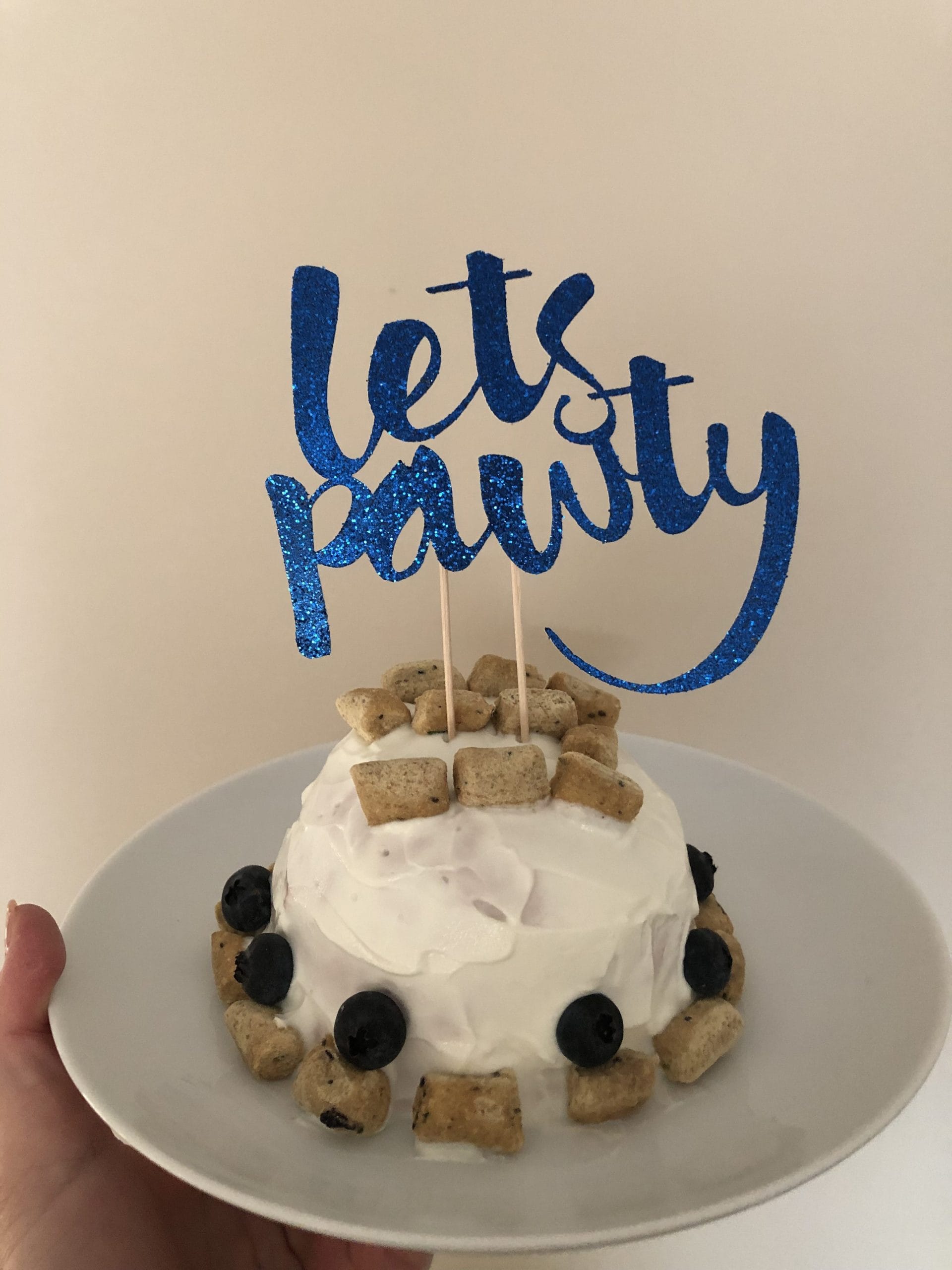 Birthday Pawty