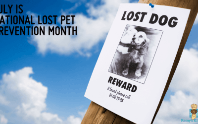 July is national lost pet prevention month