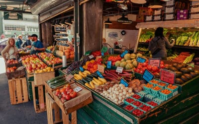 Fresh Is Best: Why Fresh Ingredients Matter for Pet Nutrition