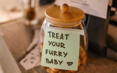 Are Temptations Bad for Cats? A Look at Ingredients and Alternatives