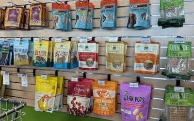Dog Treat Brands You Can Trust: A Pet Parent’s Guide