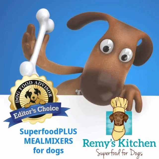 SuperfoodPLUS Meal Mixers Archives - Remy's Kitchen