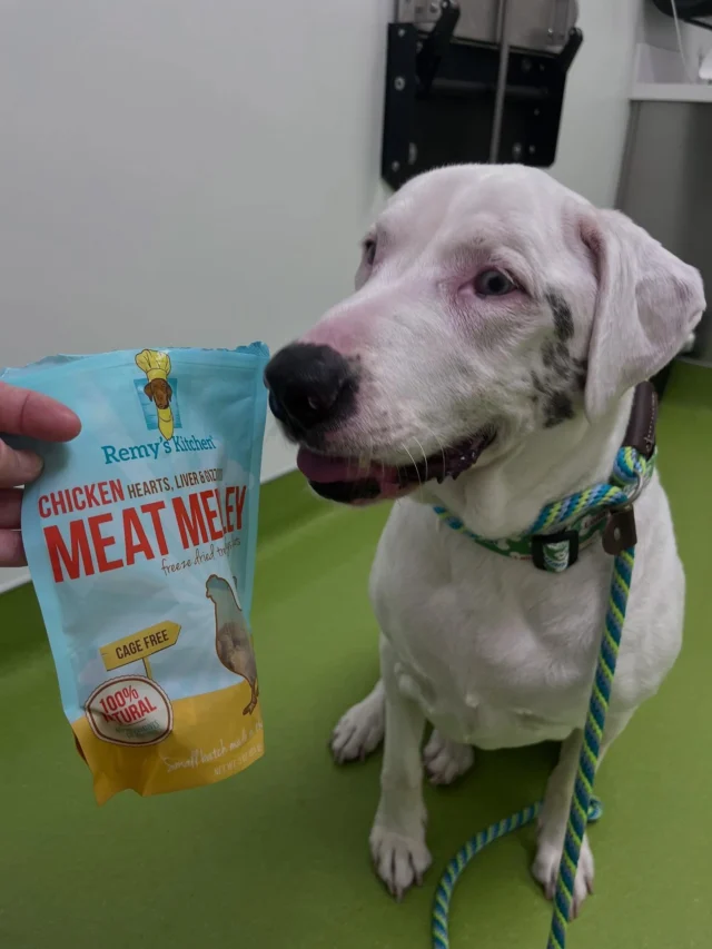 Will Cooking Gizzards Lose Their Nutritional Value for Dogs? Truth Revealed