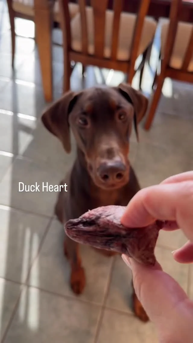 Remy's Kitchen Chicken Meat Medley - Remy's Kitchen